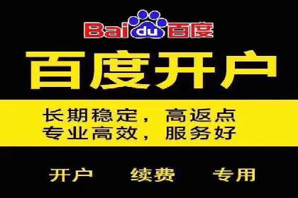 百度推广竞价策略解析及实战案例